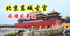 秘书干逼视中国北京-东城古宫旅游风景区